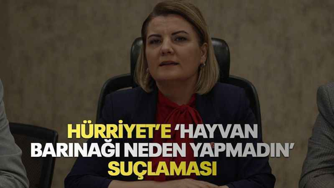 Hürriyet’e ‘Hayvan barınağı neden yapmadın’ suçlaması